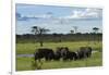 Elephant, Hwange National Park, Zimbabwe, Africa-David Wall-Framed Photographic Print