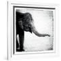 Elephant II-Debra Van Swearingen-Framed Art Print