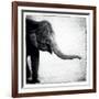 Elephant II-Debra Van Swearingen-Framed Art Print