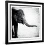 Elephant II-Debra Van Swearingen-Framed Art Print