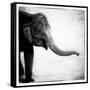 Elephant II-Debra Van Swearingen-Framed Stretched Canvas