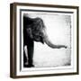 Elephant II-Debra Van Swearingen-Framed Art Print