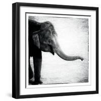 Elephant II-Debra Van Swearingen-Framed Art Print