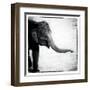 Elephant II-Debra Van Swearingen-Framed Art Print