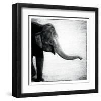 Elephant II-Debra Van Swearingen-Framed Art Print