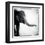 Elephant II-Debra Van Swearingen-Framed Art Print