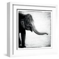 Elephant II-Debra Van Swearingen-Framed Art Print