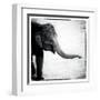 Elephant II-Debra Van Swearingen-Framed Art Print