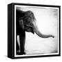 Elephant II-Debra Van Swearingen-Framed Stretched Canvas