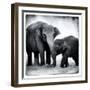 Elephant III-Debra Van Swearingen-Framed Art Print