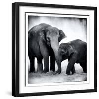 Elephant III-Debra Van Swearingen-Framed Art Print