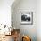 Elephant III-Debra Van Swearingen-Framed Art Print displayed on a wall