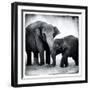 Elephant III-Debra Van Swearingen-Framed Art Print