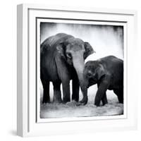 Elephant III-Debra Van Swearingen-Framed Art Print