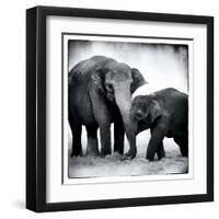 Elephant III-Debra Van Swearingen-Framed Art Print