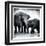 Elephant III-Debra Van Swearingen-Framed Art Print