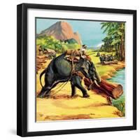 Elephant. Illustration from Elephant Bill by Liuet. Col. J. H. Williams-English School-Framed Giclee Print