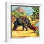 Elephant. Illustration from Elephant Bill by Liuet. Col. J. H. Williams-English School-Framed Giclee Print