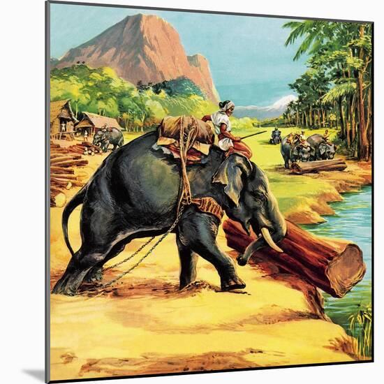 Elephant. Illustration from Elephant Bill by Liuet. Col. J. H. Williams-English School-Mounted Giclee Print