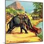 Elephant. Illustration from Elephant Bill by Liuet. Col. J. H. Williams-English School-Mounted Giclee Print