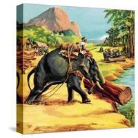 Elephant. Illustration from Elephant Bill by Liuet. Col. J. H. Williams-English School-Stretched Canvas