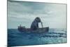 Elephant in a boat at sea.-Orlando Rosu-Mounted Art Print