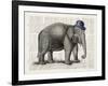 Elephant In A Bowler-Christopher James-Framed Art Print