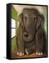 Elephant in a Room Cracks-Leah Saulnier-Framed Stretched Canvas