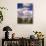 Elephant in Etosha National Park, Namibia-Walter Bibikow-Photographic Print displayed on a wall