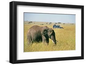 Elephant in Kenya-Buddy Mays-Framed Photographic Print