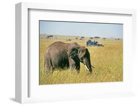 Elephant in Kenya-Buddy Mays-Framed Photographic Print