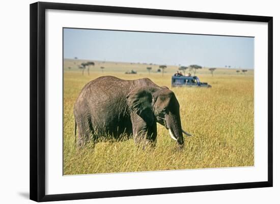 Elephant in Kenya-Buddy Mays-Framed Photographic Print