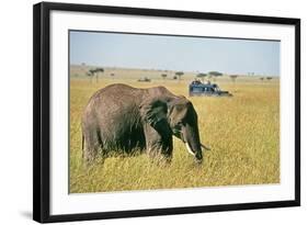 Elephant in Kenya-Buddy Mays-Framed Photographic Print