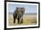 Elephant in Ngorongoro Conservation Area, Tanzania-Paul Souders-Framed Photographic Print