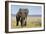 Elephant in Ngorongoro Conservation Area, Tanzania-Paul Souders-Framed Photographic Print