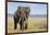 Elephant in Ngorongoro Conservation Area, Tanzania-Paul Souders-Framed Photographic Print