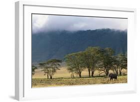 Elephant in Ngorongoro Crater-Paul Souders-Framed Photographic Print