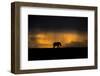 Elephant in Rainstorm at Sunset-Xavier Ortega-Framed Photographic Print