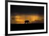 Elephant in Rainstorm at Sunset-Xavier Ortega-Framed Photographic Print