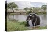 Elephant in River in Serengeti National Park, Tanzania, Africa-Life on White-Stretched Canvas