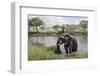 Elephant in River in Serengeti National Park, Tanzania, Africa-Life on White-Framed Photographic Print