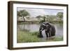 Elephant in River in Serengeti National Park, Tanzania, Africa-Life on White-Framed Photographic Print