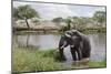 Elephant in River in Serengeti National Park, Tanzania, Africa-Life on White-Mounted Photographic Print