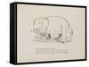 Elephant in Row Boat From a Collection Of Poems and Songs by Edward Lear-Edward Lear-Framed Stretched Canvas