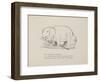 Elephant in Row Boat From a Collection Of Poems and Songs by Edward Lear-Edward Lear-Framed Giclee Print