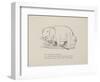 Elephant in Row Boat From a Collection Of Poems and Songs by Edward Lear-Edward Lear-Framed Giclee Print