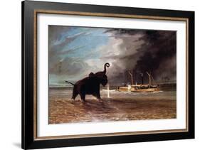 Elephant in Shallow Waters of Shire River, 1859-Thomas Baines-Framed Giclee Print