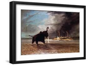 Elephant in Shallow Waters of Shire River, 1859-Thomas Baines-Framed Giclee Print