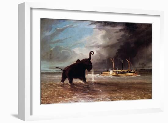 Elephant in Shallow Waters of Shire River, 1859-Thomas Baines-Framed Giclee Print