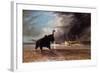 Elephant in Shallow Waters of Shire River, 1859-Thomas Baines-Framed Giclee Print